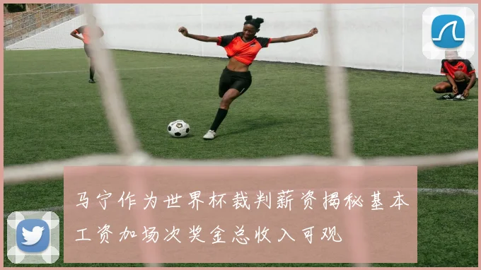 马宁作为世界杯裁判薪资揭秘基本工资加场次奖金总收入可观